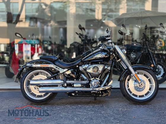 HARLEY-DAVIDSON SOFTAIL FAT BOY 114 